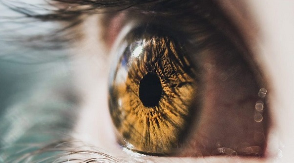 retina dos olhos