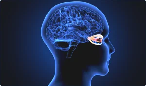 Neuroftalmologia x Oftalmologia: descubra a diferença